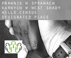 Prawnik w sprawach karnych w  West Shady Hills