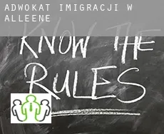 Adwokat imigracji w  Alleene