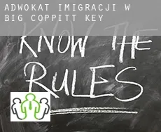 Adwokat imigracji w  Big Coppitt Key