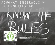 Adwokat imigracji w  Untermettenbach