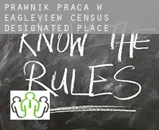 Prawnik praca w  Eagleview