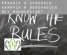 Prawnik w sprawach karnych w  Burghausen bei Münnerstadt