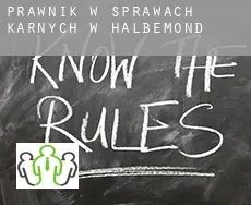 Prawnik w sprawach karnych w  Halbemond