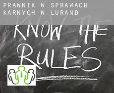 Prawnik w sprawach karnych w  Lurand