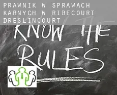 Prawnik w sprawach karnych w  Ribécourt-Dreslincourt