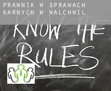 Prawnik w sprawach karnych w  Walchwil