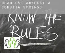 Upadłość adwokat w  Cohutta Springs
