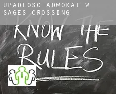 Upadłość adwokat w  Sages Crossing