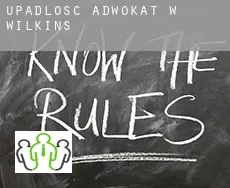 Upadłość adwokat w Wilkins
