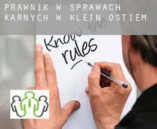 Prawnik w sprawach karnych w  Klein Ostiem