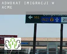 Adwokat imigracji w  Acme