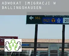 Adwokat imigracji w Ballingshausen