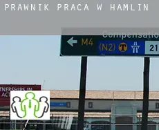 Prawnik praca w  Hamlin