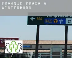 Prawnik praca w  Winterburn
