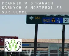 Prawnik w sprawach karnych w  Morterolles-sur-Semme