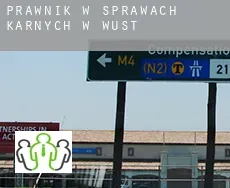 Prawnik w sprawach karnych w  Wust