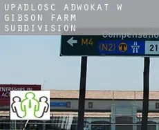 Upadłość adwokat w  Gibson Farm Subdivision
