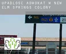 Upadłość adwokat w  New Elm Springs Colony