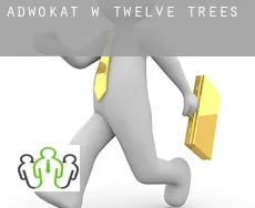 Adwokat w  Twelve Trees
