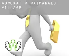 Adwokat w Waimanalo Village