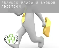 Prawnik praca w  Sydnor Addition