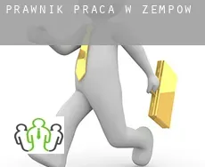 Prawnik praca w  Zempow