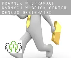 Prawnik w sprawach karnych w  Brick Center