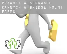 Prawnik w sprawach karnych w  Bridge Point Farms