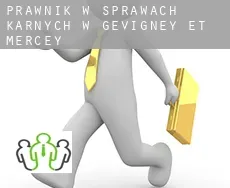 Prawnik w sprawach karnych w  Gevigney-et-Mercey