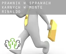 Prawnik w sprawach karnych w  Monte Rinaldo