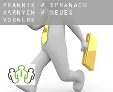 Prawnik w sprawach karnych w  Neues Vorwerk