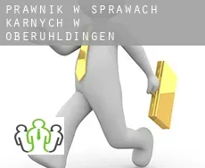 Prawnik w sprawach karnych w  Oberuhldingen