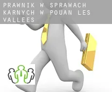 Prawnik w sprawach karnych w  Pouan-les-Vallées