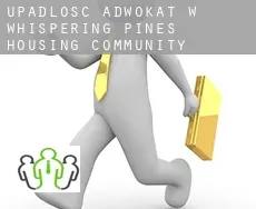 Upadłość adwokat w  Whispering Pines Housing Community