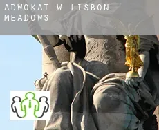 Adwokat w  Lisbon Meadows