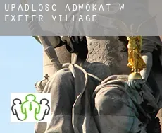 Upadłość adwokat w  Exeter Village