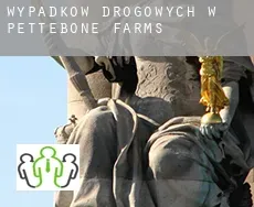 Wypadków drogowych w  Pettebone Farms