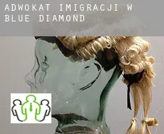 Adwokat imigracji w  Blue Diamond