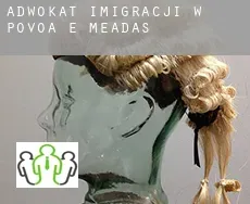 Adwokat imigracji w  Póvoa e Meadas