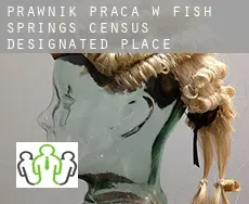 Prawnik praca w  Fish Springs