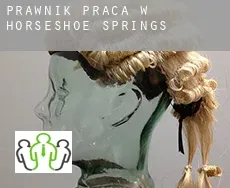 Prawnik praca w  Horseshoe Springs