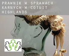 Prawnik w sprawach karnych w  Cotuit Highlands