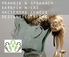 Prawnik w sprawach karnych w  Las Haciendas