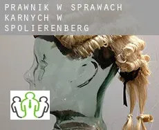 Prawnik w sprawach karnych w  Spolierenberg