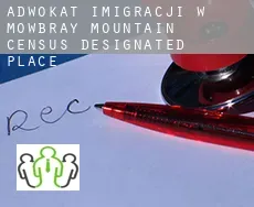 Adwokat imigracji w  Mowbray Mountain