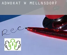 Adwokat w  Mellnsdorf