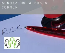 Adwokatów w  Bushs Corner