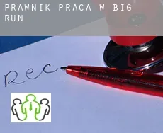 Prawnik praca w  Big Run
