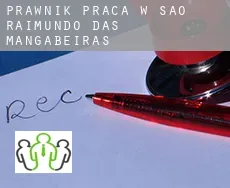 Prawnik praca w  São Raimundo das Mangabeiras