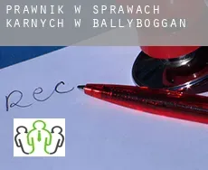 Prawnik w sprawach karnych w  Ballyboggan